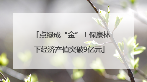 点绿成“金”！保康林下经济产值突破9亿元