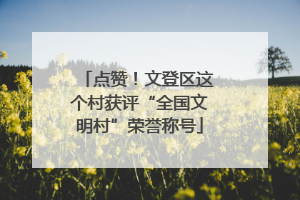 点赞！文登区这个村获评“全国文明村”荣誉称号