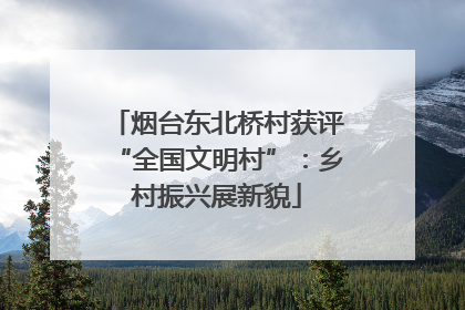 烟台东北桥村获评“全国文明村”：乡村振兴展新貌