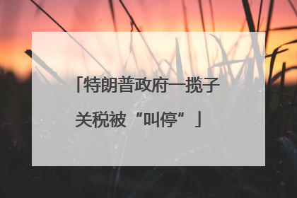 特朗普政府一揽子关税被“叫停”