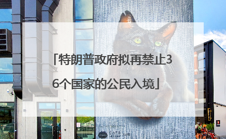 特朗普政府拟再禁止36个国家的公民入境