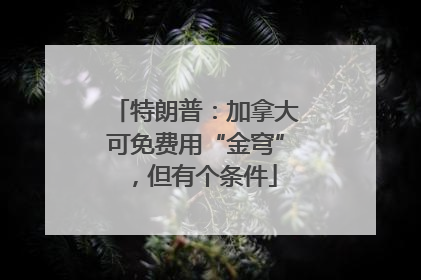 特朗普：加拿大可免费用“金穹”，但有个条件