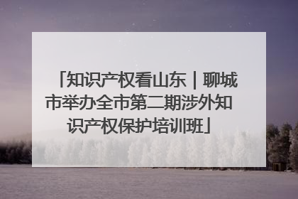 知识产权看山东｜聊城市举办全市第二期涉外知识产权保护培训班