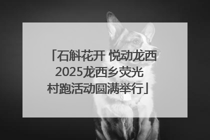 石斛花开 悦动龙西 2025龙西乡荧光村跑活动圆满举行