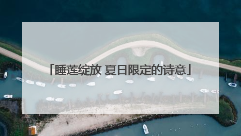 睡莲绽放 夏日限定的诗意
