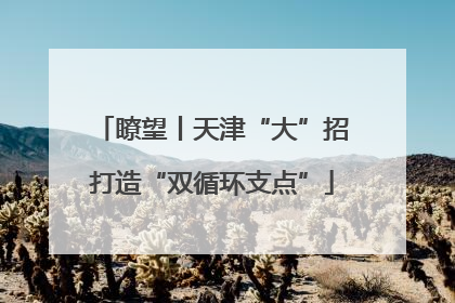 瞭望丨天津“大”招打造“双循环支点”