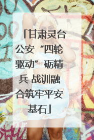 甘肃灵台公安“四轮驱动”砺精兵 战训融合筑牢平安基石