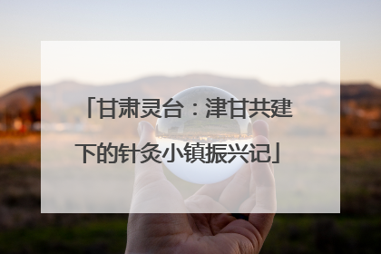 甘肃灵台：津甘共建下的针灸小镇振兴记