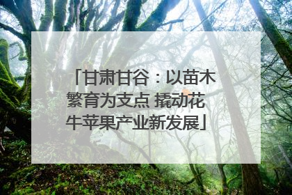甘肃甘谷：以苗木繁育为支点 撬动花牛苹果产业新发展