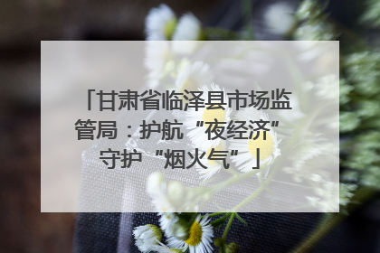 甘肃省临泽县市场监管局：护航“夜经济” 守护“烟火气”