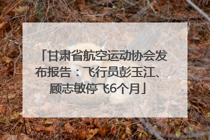 甘肃省航空运动协会发布报告：飞行员彭玉江、顾志敏停飞6个月