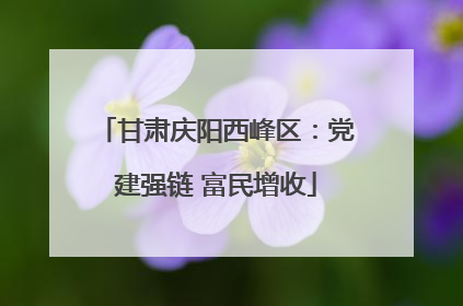 甘肃庆阳西峰区：党建强链 富民增收