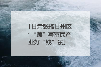 甘肃张掖甘州区：“蔬”写富民产业好“钱”景