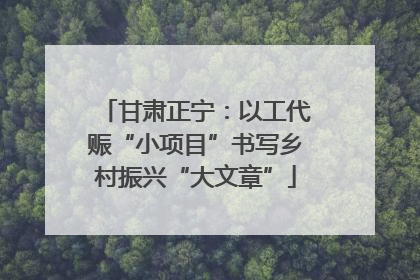 甘肃正宁：以工代赈“小项目”书写乡村振兴“大文章”