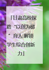 甘肃高校探路“以创为梯”育人 解锁学生综合创新力
