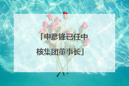 申彦锋已任中核集团董事长
