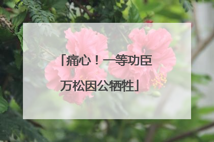 痛心！一等功臣万松因公牺牲