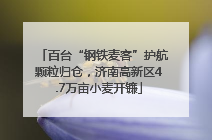 百台“钢铁麦客”护航颗粒归仓，济南高新区4.7万亩小麦开镰