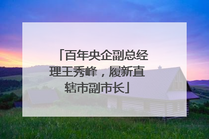 百年央企副总经理王秀峰，履新直辖市副市长