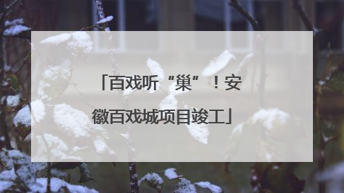 百戏听“巢”！安徽百戏城项目竣工