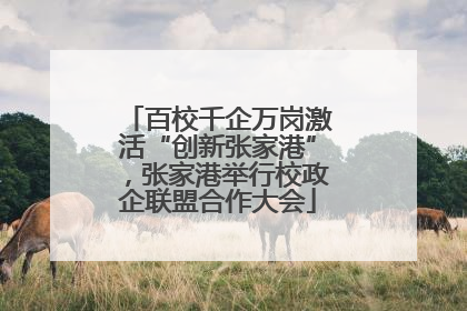 百校千企万岗激活“创新张家港”，张家港举行校政企联盟合作大会