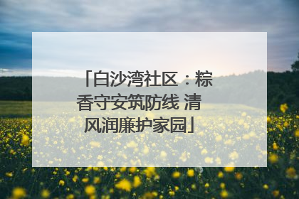 白沙湾社区：粽香守安筑防线 清风润廉护家园