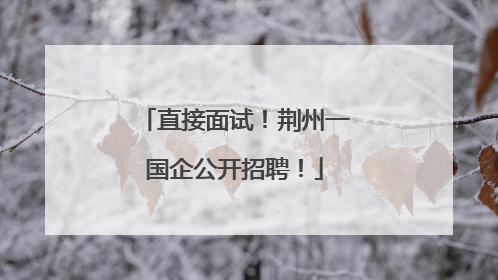 直接面试！荆州一国企公开招聘！