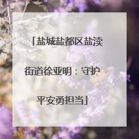 盐城盐都区盐渎街道徐亚明：守护平安勇担当