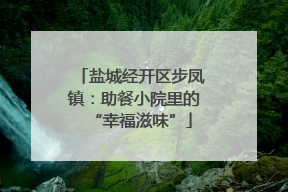 盐城经开区步凤镇：助餐小院里的“幸福滋味”
