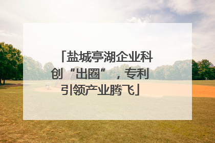 盐城亭湖企业科创“出圈”，专利引领产业腾飞