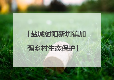 盐城射阳新坍镇加强乡村生态保护