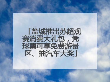 盐城推出苏超观赛消费大礼包，凭球票可享免费游景区、抽汽车大奖