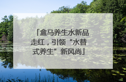 盒马养生水新品走红，引领“水替式养生”新风尚