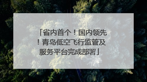 省内首个！国内领先！青岛低空飞行监管及服务平台完成部署