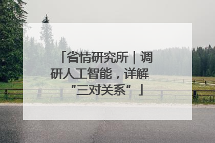 省情研究所｜调研人工智能，详解“三对关系”