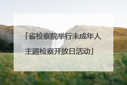 省检察院举行未成年人主题检察开放日活动