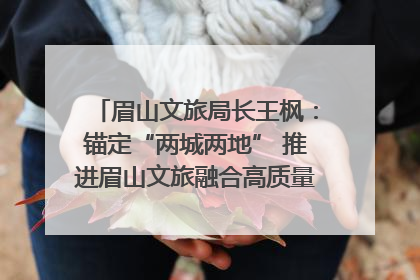 眉山文旅局长王枫：锚定“两城两地” 推进眉山文旅融合高质量发展｜文旅局长说