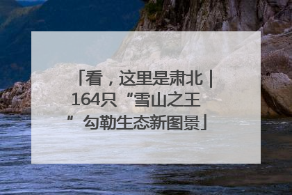 看，这里是肃北｜164只“雪山之王”勾勒生态新图景