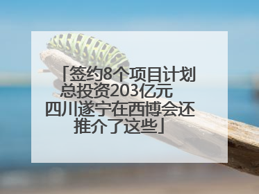 签约8个项目计划总投资203亿元 四川遂宁在西博会还推介了这些