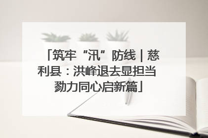 筑牢“汛”防线｜慈利县：洪峰退去显担当 勠力同心启新篇