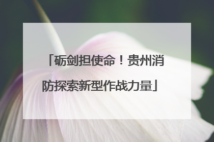 砺剑担使命！贵州消防探索新型作战力量