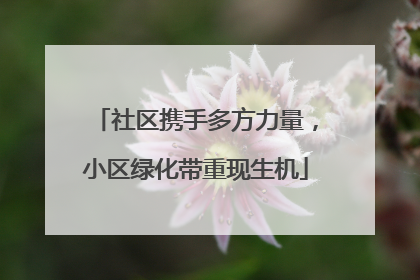 社区携手多方力量，小区绿化带重现生机