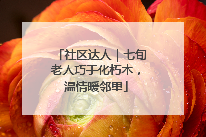 社区达人｜七旬老人巧手化朽木，温情暖邻里