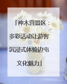 神木营景区：多彩活动让游客沉浸式体验边屯文化魅力
