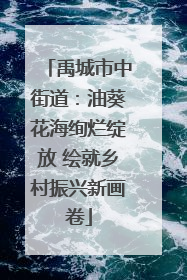 禹城市中街道：油葵花海绚烂绽放 绘就乡村振兴新画卷