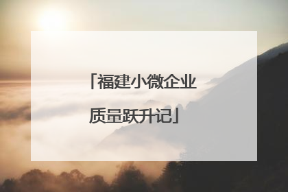 福建小微企业质量跃升记