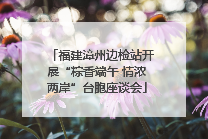 福建漳州边检站开展“粽香端午 情浓两岸”台胞座谈会