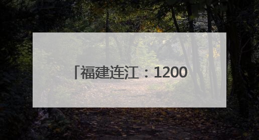 福建连江：1200万只海马历经8个月培育 迎来收获季