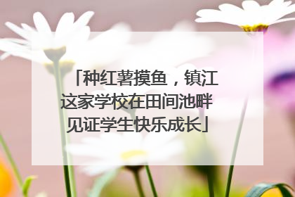 种红薯摸鱼，镇江这家学校在田间池畔见证学生快乐成长