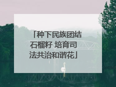 种下民族团结石榴籽 培育司法共治和谐花